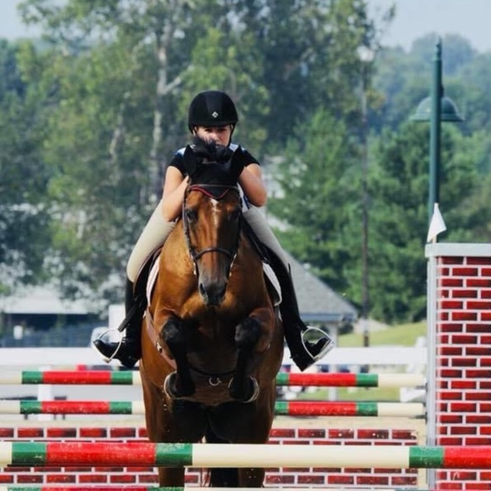 Meet your Posher, Erin